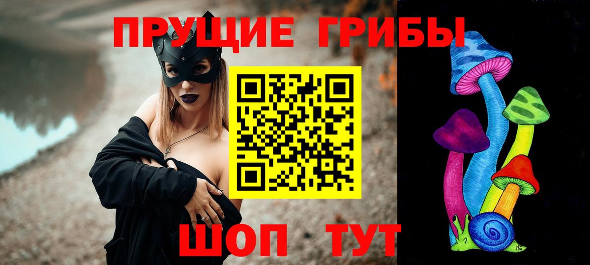 Псилоцибиновые грибы прущие грибы  Вход с VPN  Чистополь 