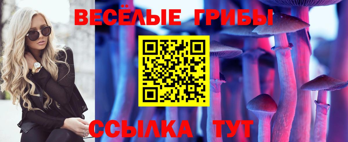Галлюциногенные грибы Psilocybe Чистополь